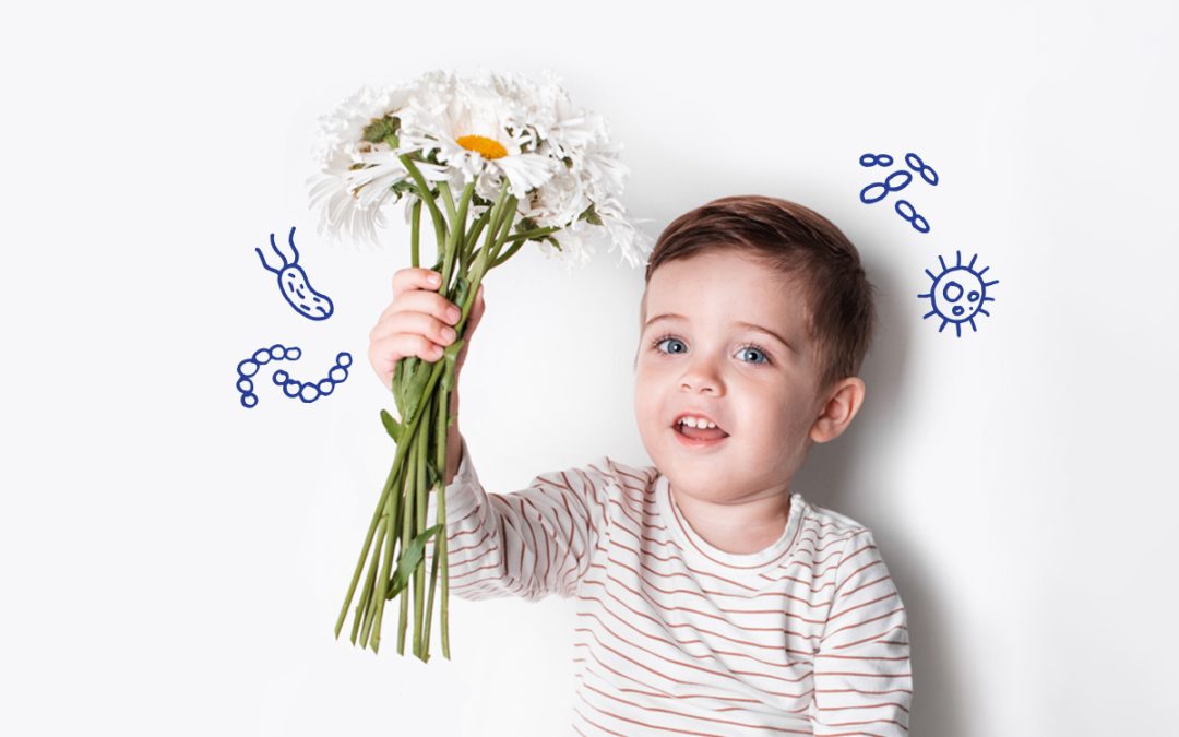 Probiotici i alergija na polen: kako su povezani?