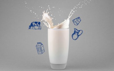 Kazein i alergija na proteine kravljeg mleka